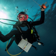 dive instructor life