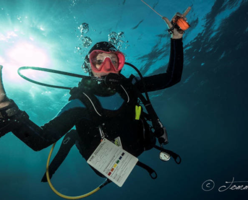 dive instructor life