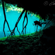 experience the cenotes