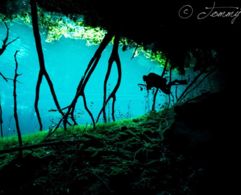 experience the cenotes
