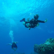 sidemount
