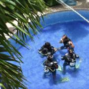 teaching in the pool